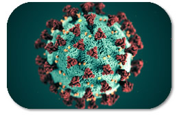 COVID-19 Virus Update